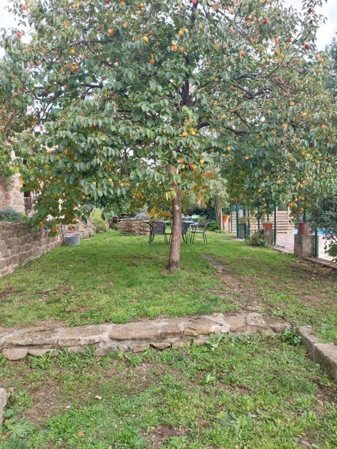 Le Mas Du Galibot Chambre Cambalotte Saint-Florent-sur-Auzonnet Buitenkant foto